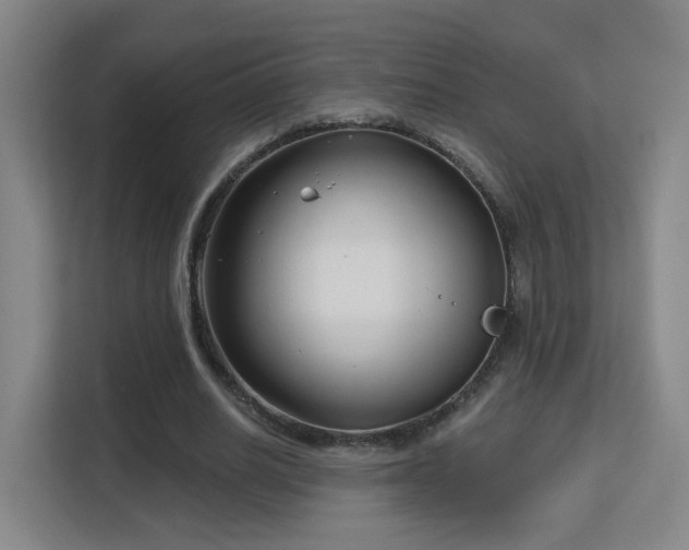 X0000113160630200909111015