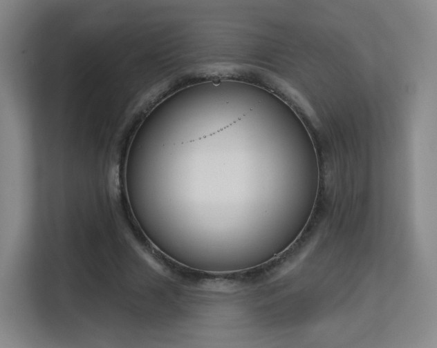 X0000113160633200909111015