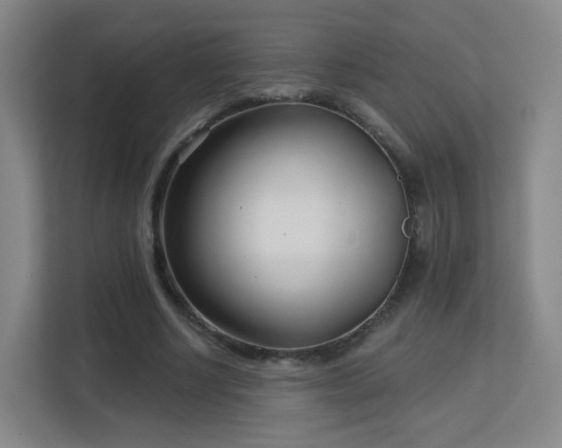 X0000113160634200909111015