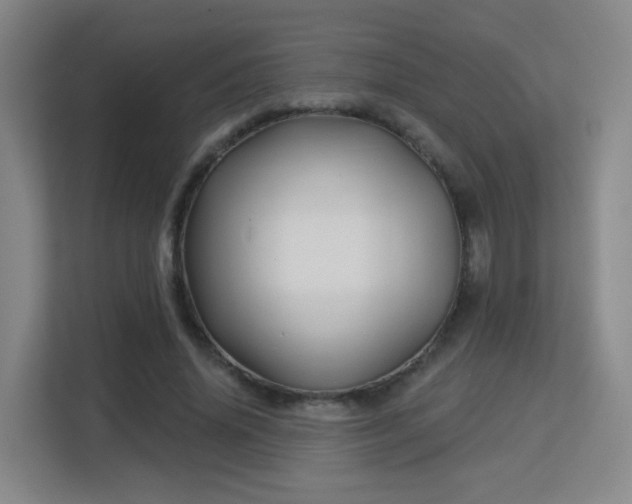 X0000113160636200909111015