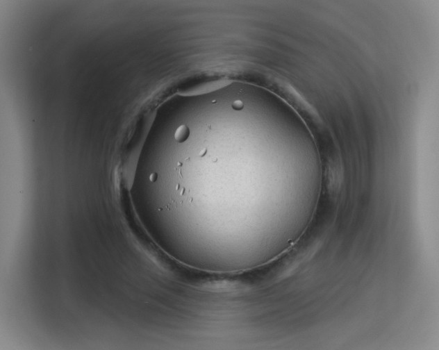 X0000113160637200909111015