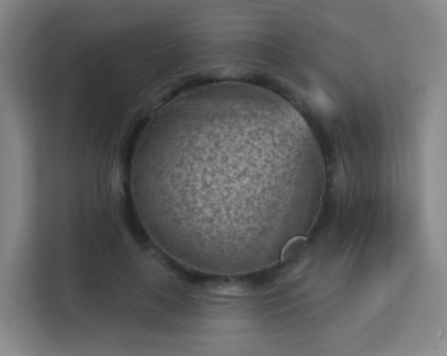 X0000113160643200909111015