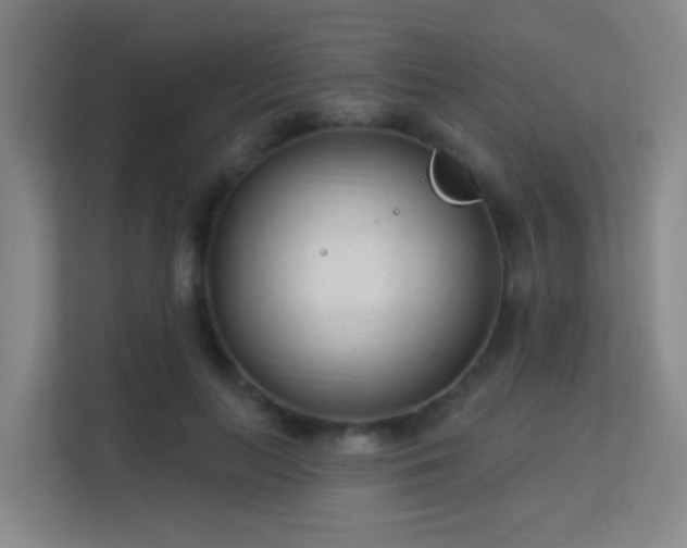 X0000113160647200909111015