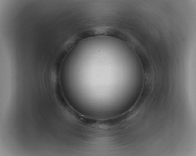 X0000113160648200909111015