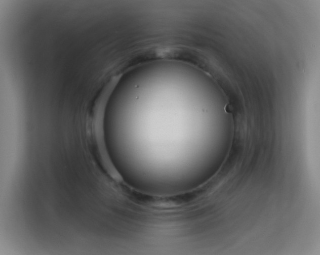 X0000113160650200909111015