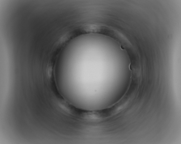 X0000113160652200909111015