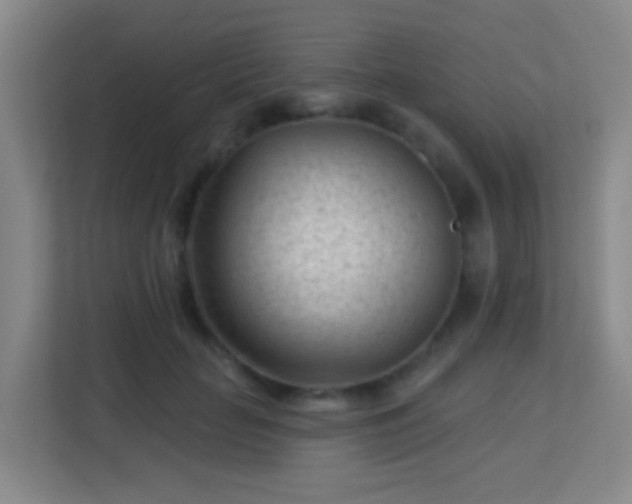 X0000113160653200909111015