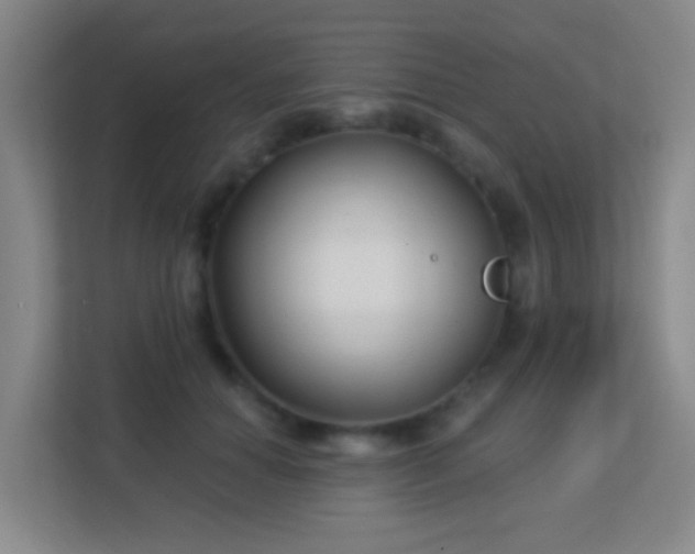 X0000113160654200909111015