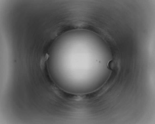 X0000113160660200909111015