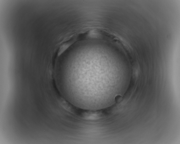 X0000113160661200909111015