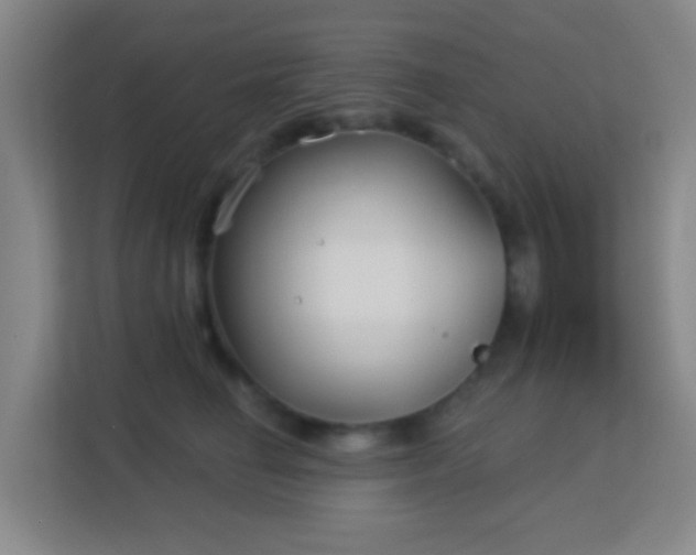 X0000113160662200909111015