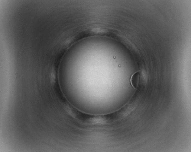 X0000113160668200909111015