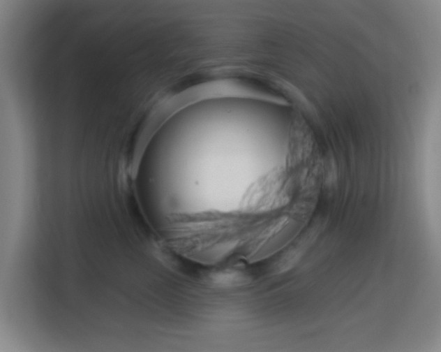X0000113160669200909111015