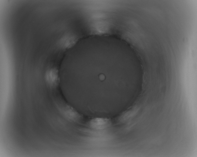 X0000113160672200909111016