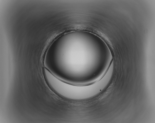 X0000113160673200909111015