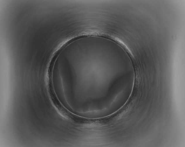 X0000113160674200909111015