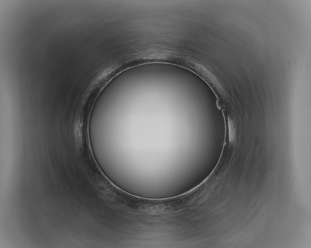 X0000113160675200909111015