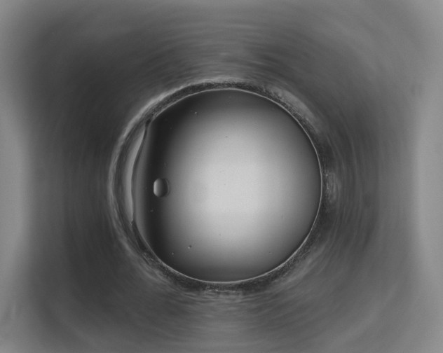 X0000113160676200909111015