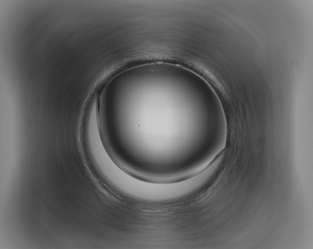 X0000113160677200909111015