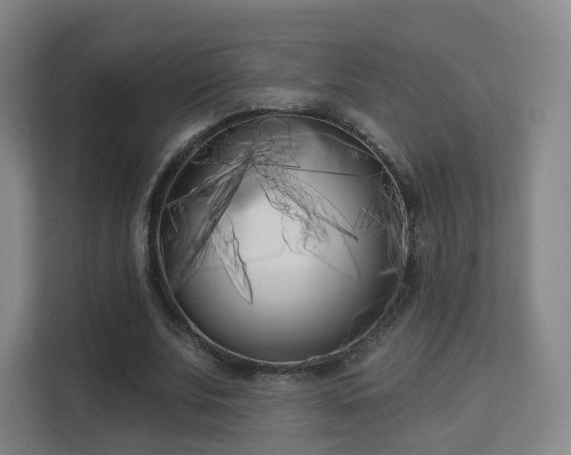 X0000113160679200909111015
