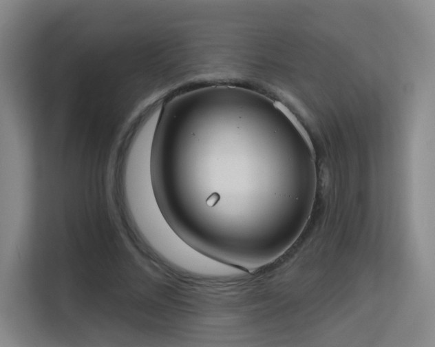 X0000113160684200909111015