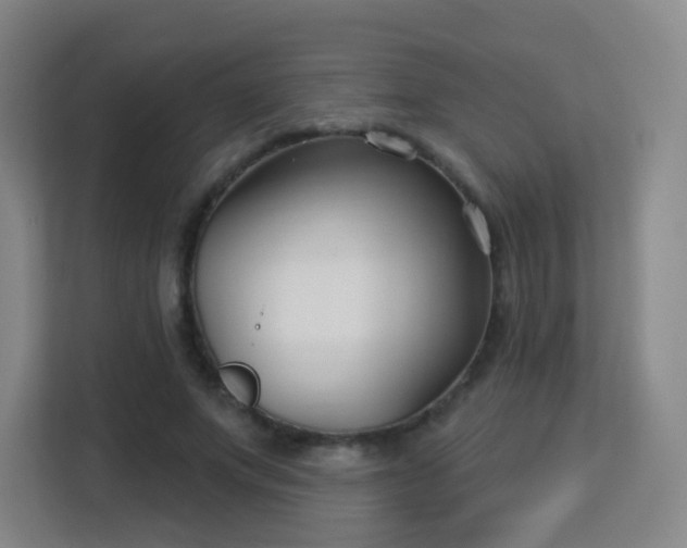 X0000113160687200909111015