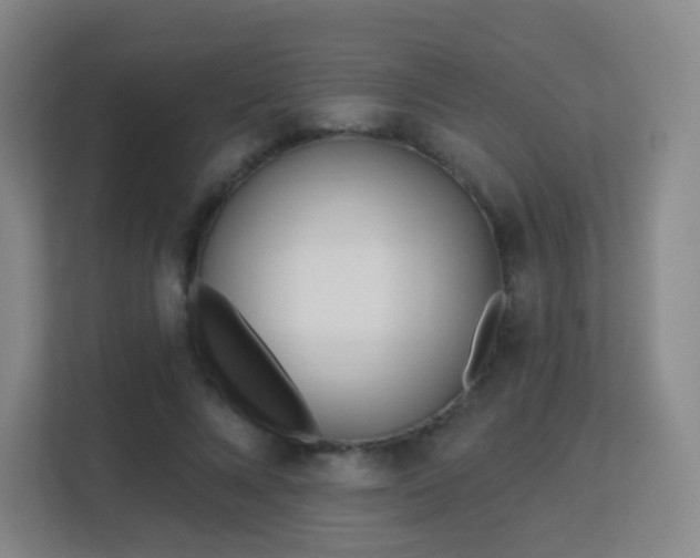 X0000113160688200909111015