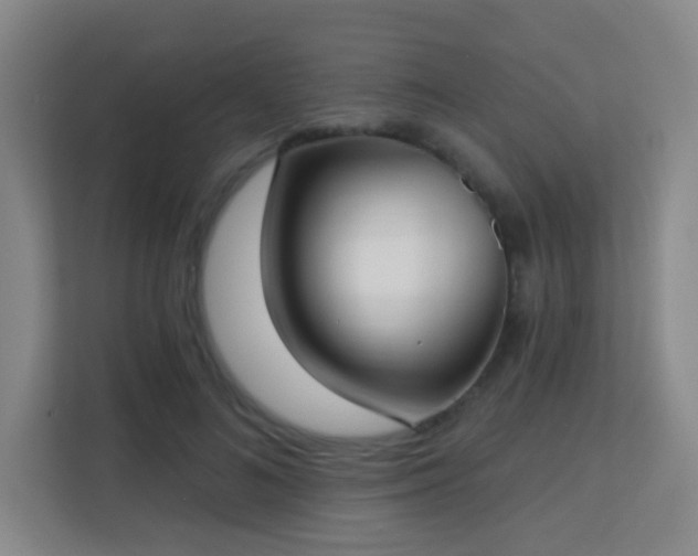 X0000113160692200909111015