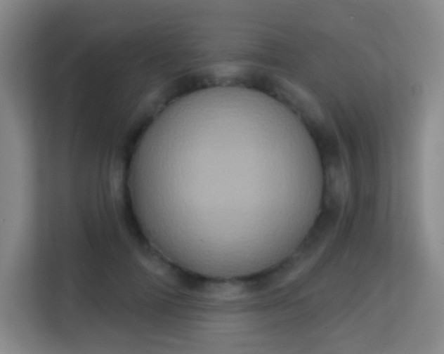 X0000113160698200909111015