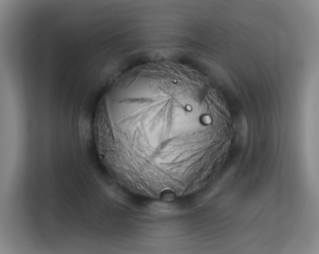 X0000113160699200909111015