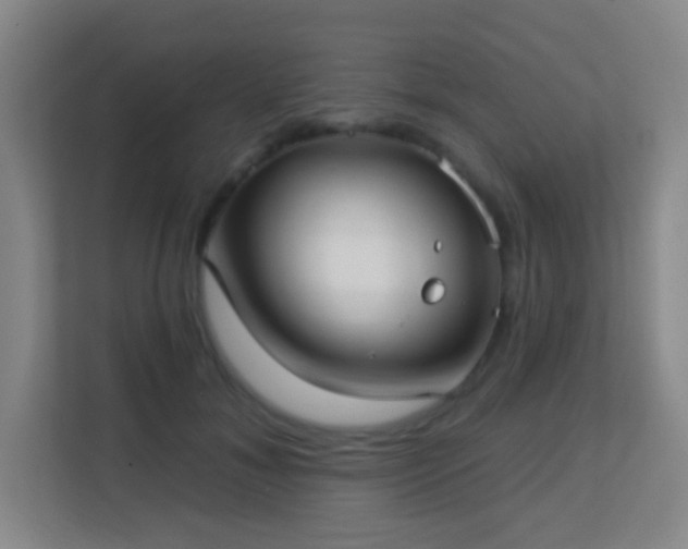 X0000113160700200909111015