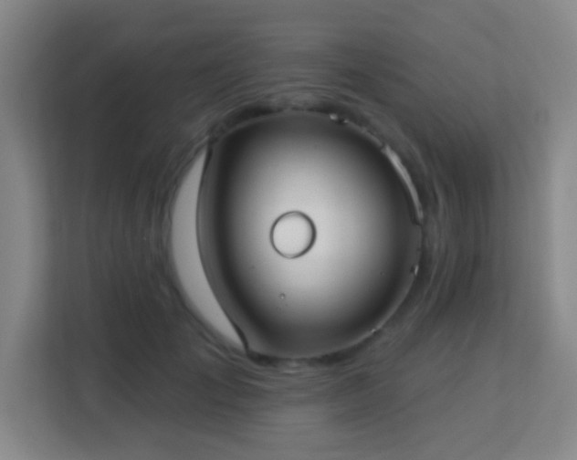 X0000113160701200909111015