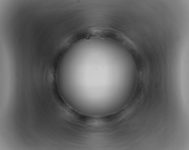 X0000113160702200909111015