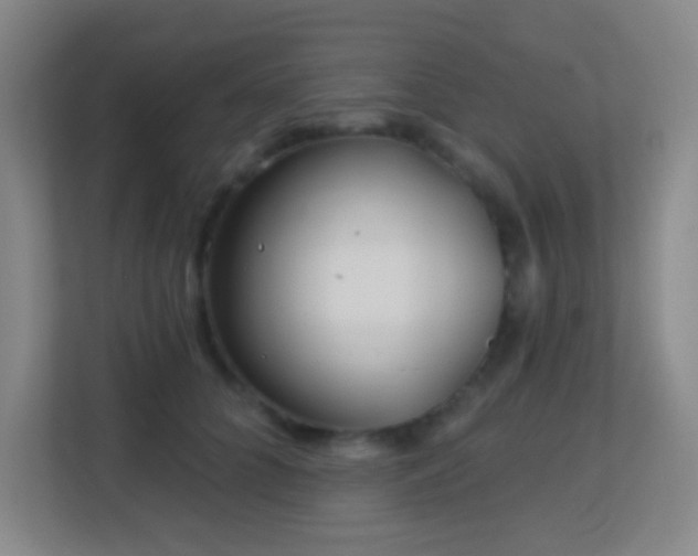 X0000113160704200909111014