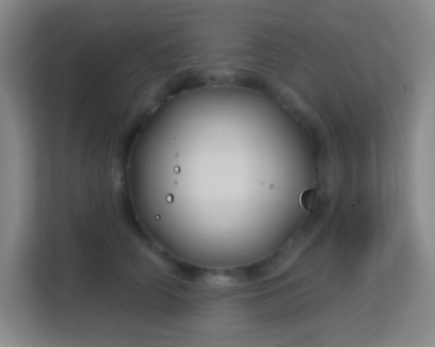 X0000113160706200909111014