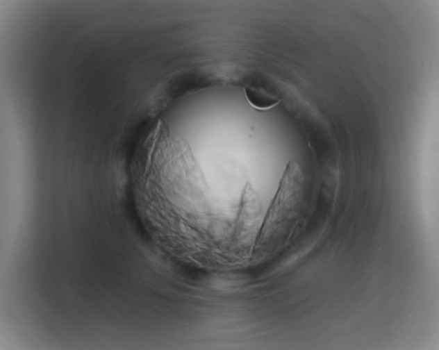 X0000113160707200909111014