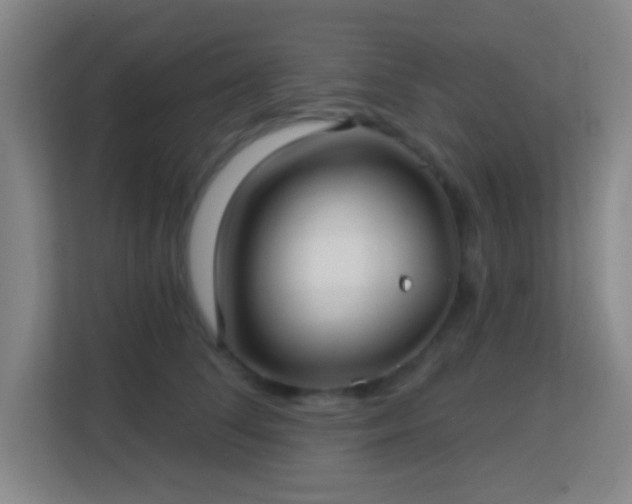 X0000113160708200909111014