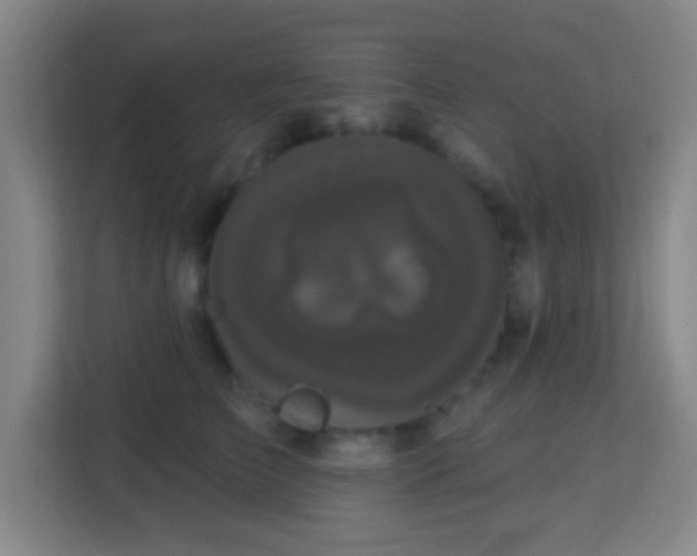 X0000113160709200909111014