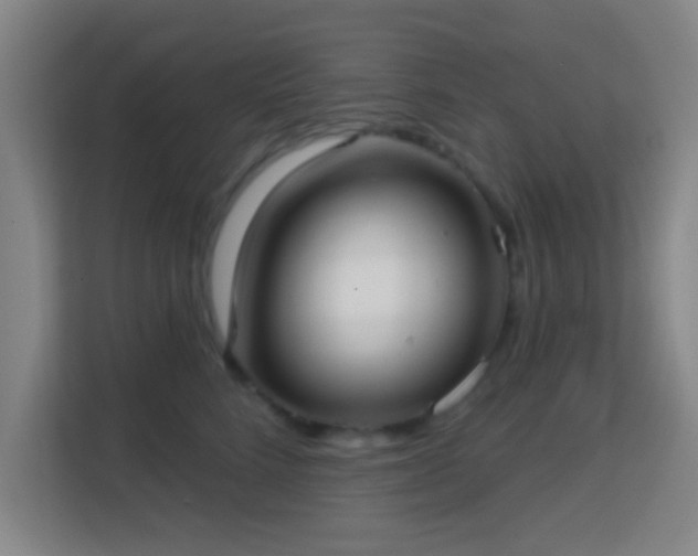 X0000113160712200909111014