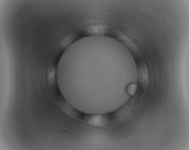 X0000113160717200909111014