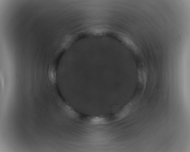 X0000113160718200909111014