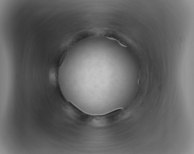 X0000113160720200909111014