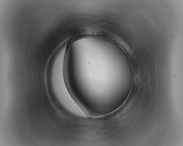 X0000113160722200909111014