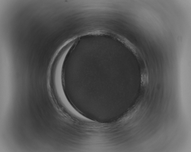 X0000113160724200909111014