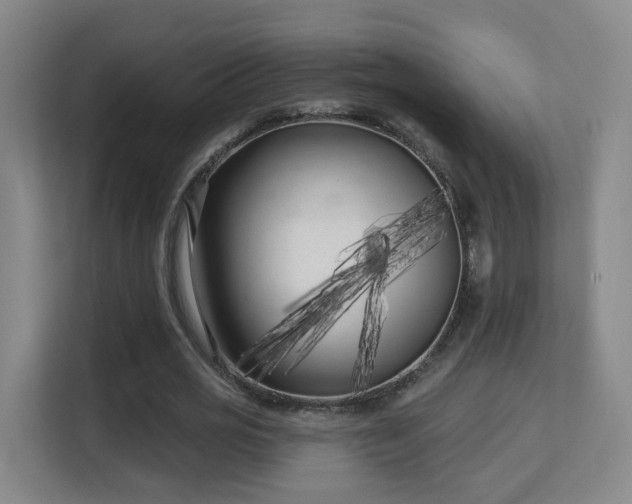 X0000113160725200909111014