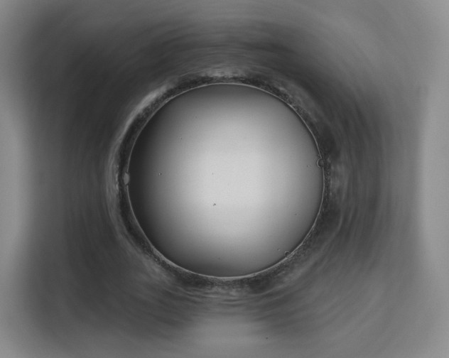 X0000113160727200909111014