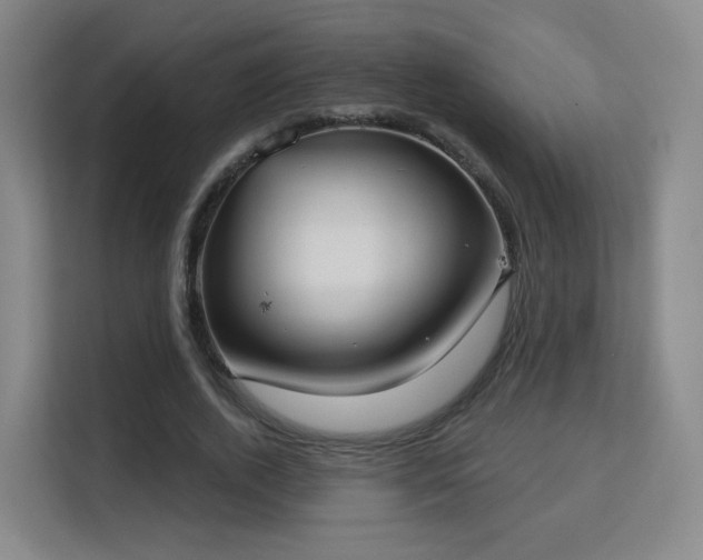 X0000113160728200909111014