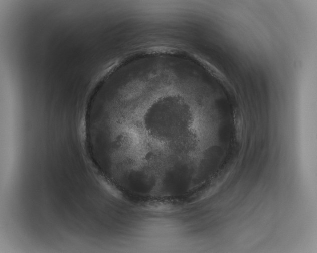 X0000113160729200909111014