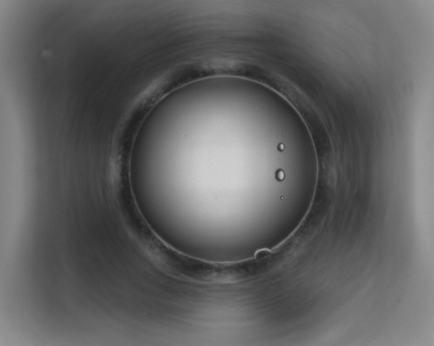 X0000113160735200909111014