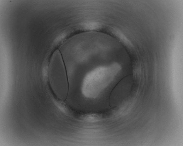 X0000113160736200909111014